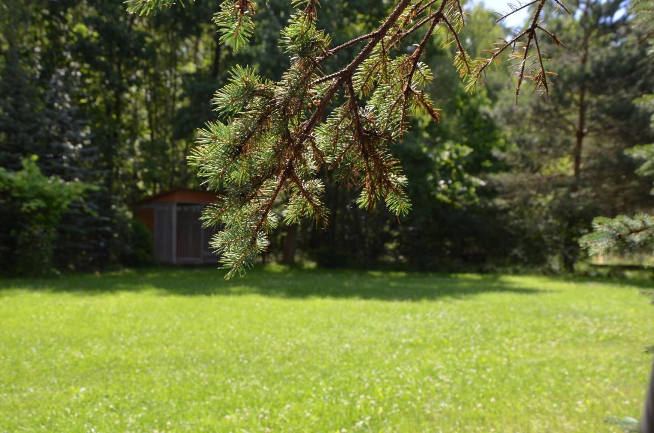 Agroturystyka Czekaj Przy Suntago Lublinow Exteriér fotografie