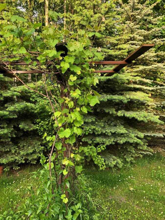 Agroturystyka Czekaj Przy Suntago Lublinow Exteriér fotografie